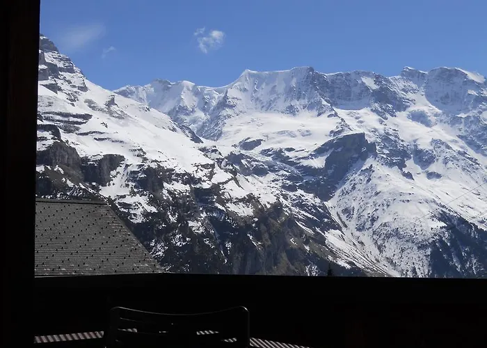 Chalet Anemone 2 Daire *