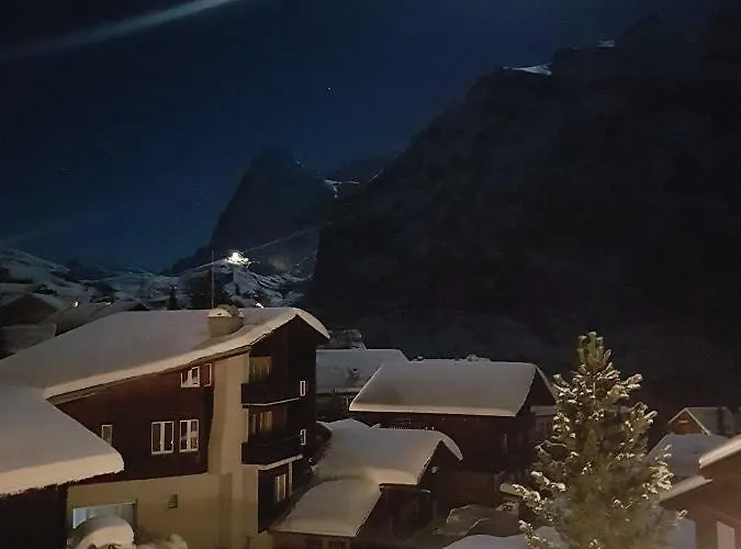 Chalet Anemone 2 Daire Mürren