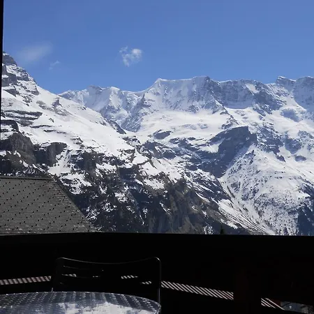 Chalet Anemone 2 아파트 *