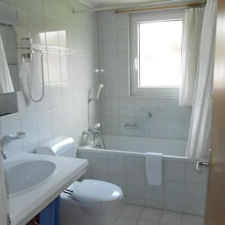 Chalet Anemone 2 * 뮈렌