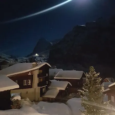 Chalet Anemone 2 아파트 뮈렌