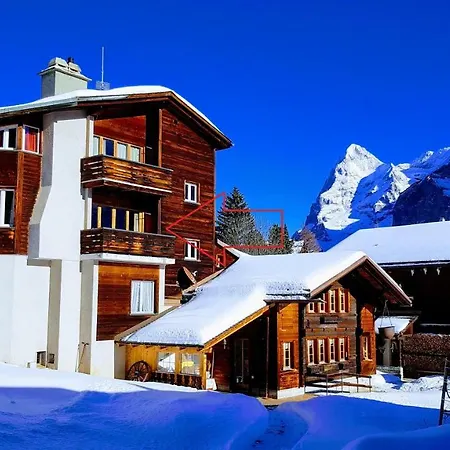 Appartement Chalet Anemone 2 *